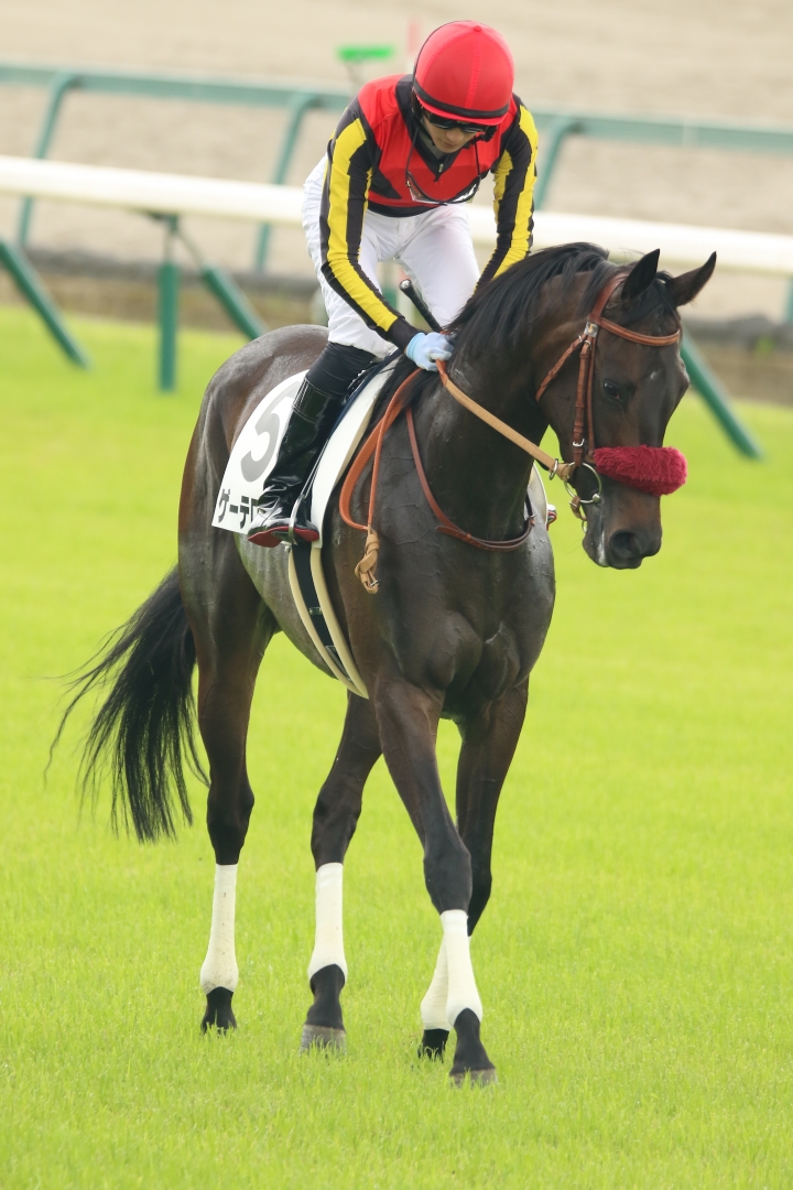 2022/6/11 3歳未勝利(牝) ゲーテローズ