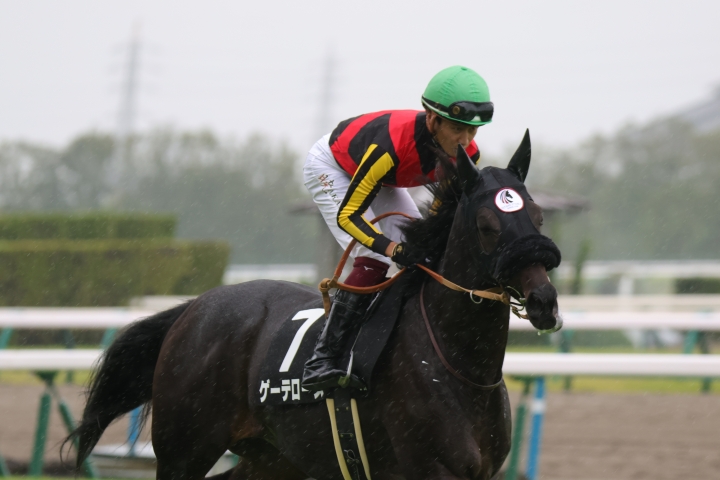 2023年10月 ゲーテローズ