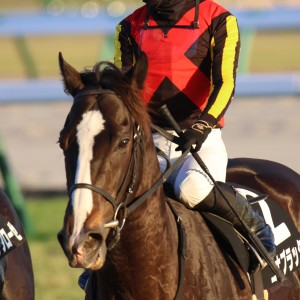 2024/12/28 カウントダウンS(3勝クラス)