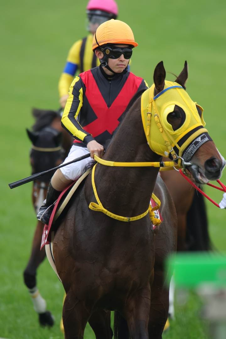 2023/3/12 金鯱賞(G2) フェーングロッテン