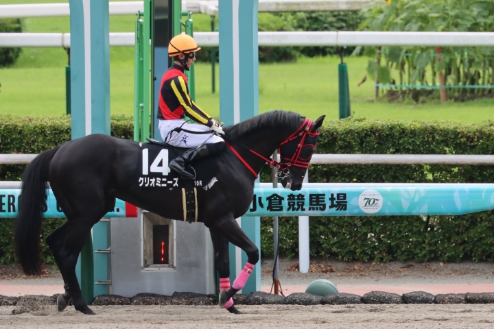 2024年7月 クリオミニーズ