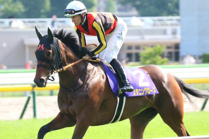 2022年5月 スタニングローズ