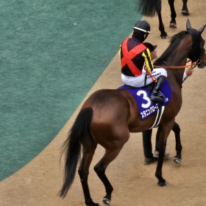 パドック