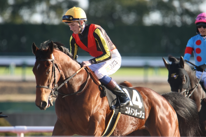 2022年12月 コルドンルージュ