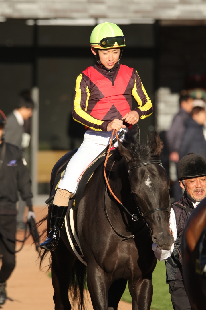 2023/11/18 アンドロメダS(OP) コマンドライン