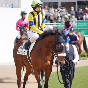 2022/3/5 3歳未勝利