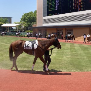 2022/5/7 3歳未勝利(牝)