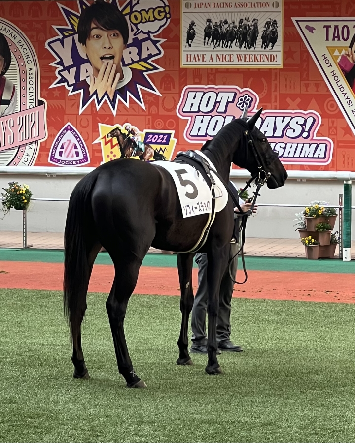 2021年11月 ソフィーズチョイス