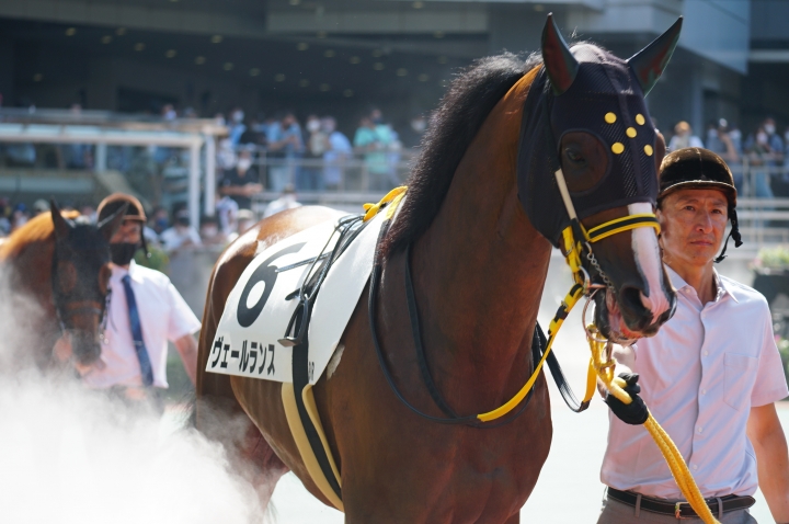 【優勝】3歳以上1勝クラス ヴェールランス