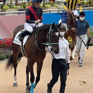2021/9/26 2歳新馬