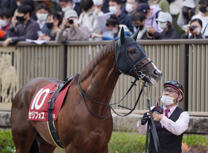 2022/10/22 富士S(G2) セリフォス