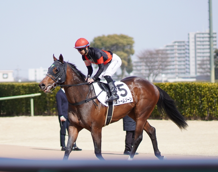 2022/3/5 3歳1勝クラス ストームゾーン