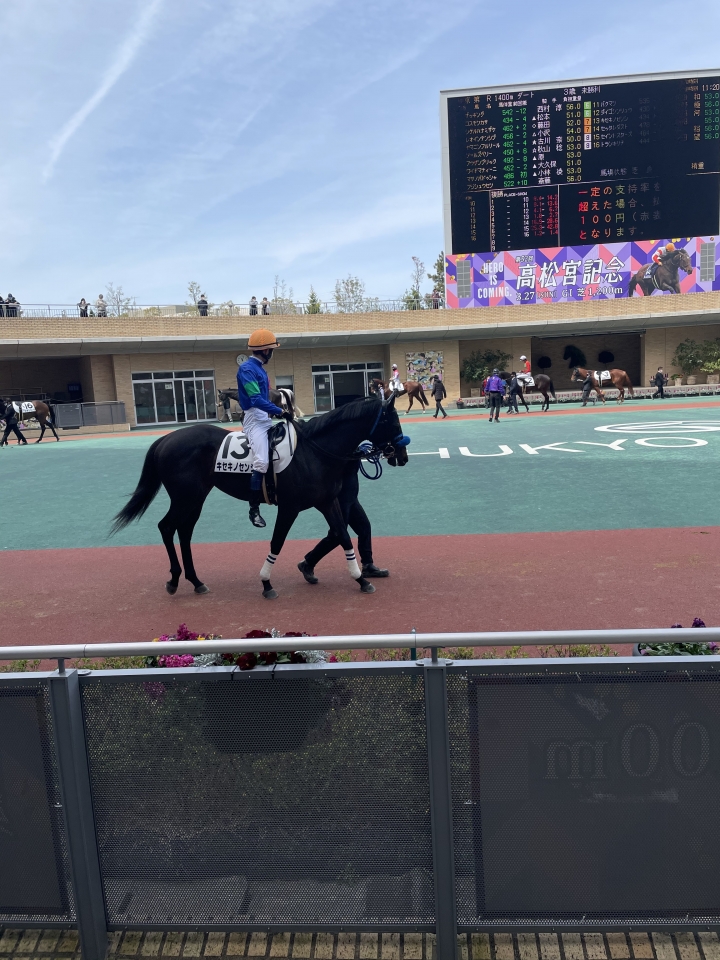 2022/3/21 3歳未勝利 キセキノセンシ