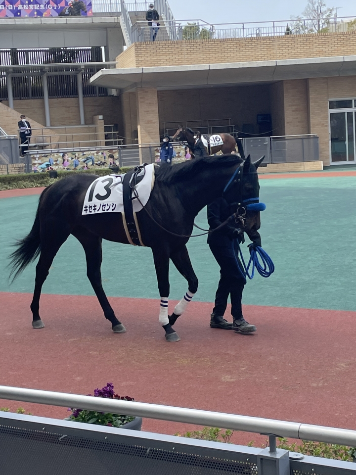 2022/3/21 3歳未勝利 キセキノセンシ