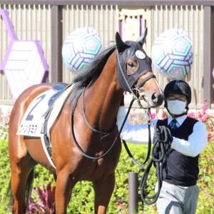 2021/10/23 2歳未勝利