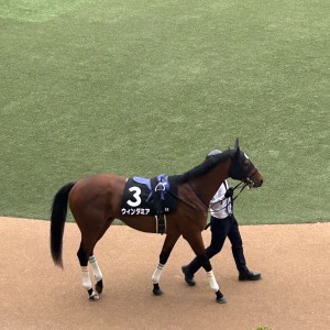 2024/4/6 葛飾特別(2勝クラス)