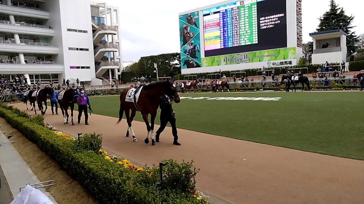 2023/3/5 4歳以上2勝クラス ウィンダミア