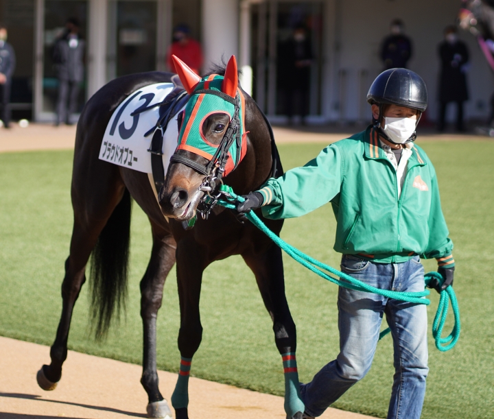 2021/12/5 2歳未勝利 プラウドオブユー