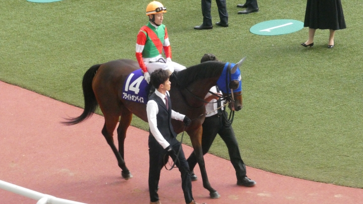 2022年10月 ブライトオンベイス