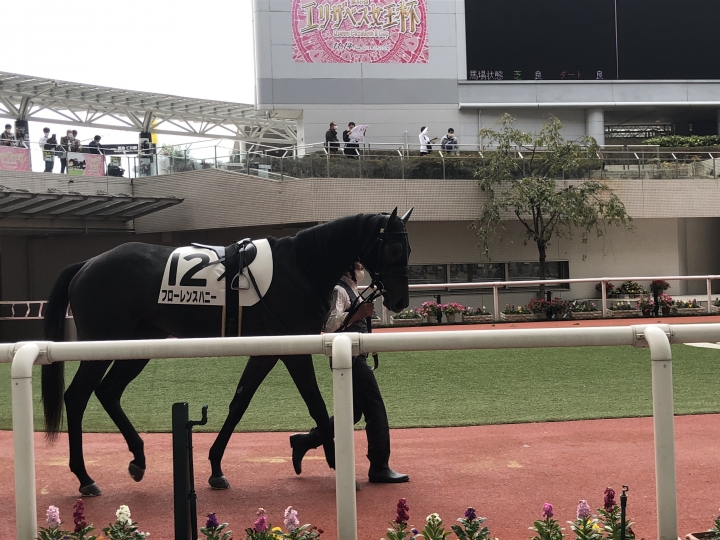 2021/10/31 2歳未勝利 フローレンスハニー