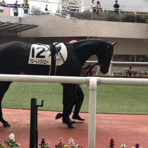 2021/10/31 2歳未勝利