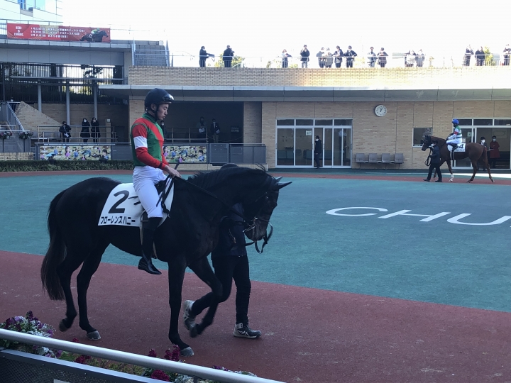 2022/1/22 3歳未勝利(牝)パドック フローレンスハニー