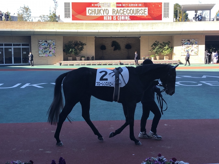 2022/1/22 3歳未勝利(牝)パドック フローレンスハニー