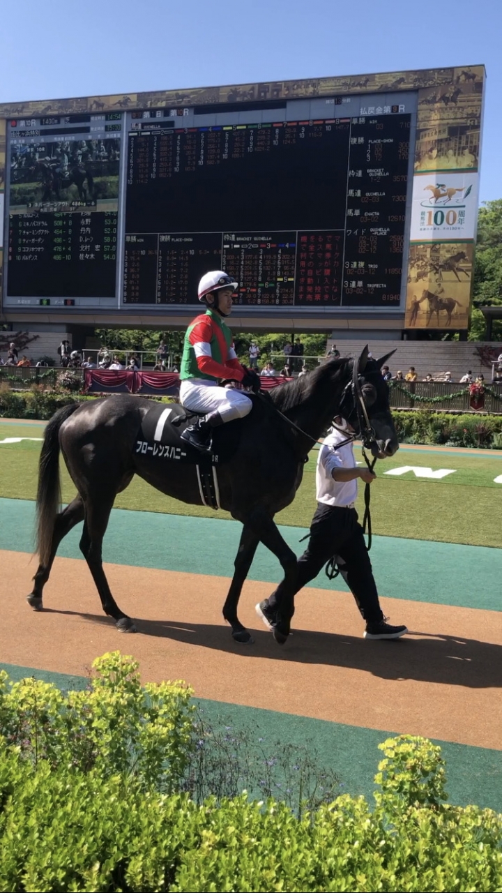 2023/6/3 由比ヶ浜特別(2勝クラス)パドック フローレンスハニー