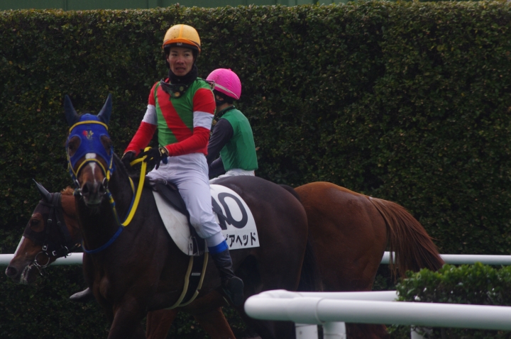 2024/3/3 障害未勝利 スピアヘッド
