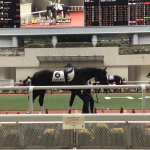 2022/2/13 3歳新馬