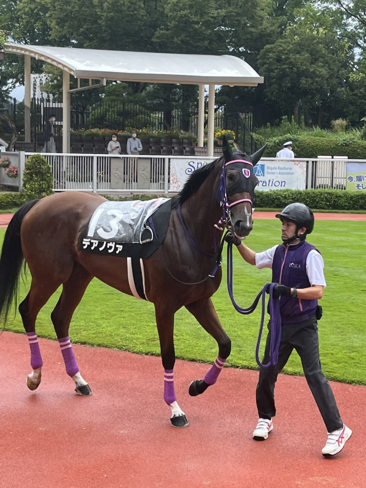 2022/8/20 瀬波温泉特別(2勝クラス) デアノヴァ