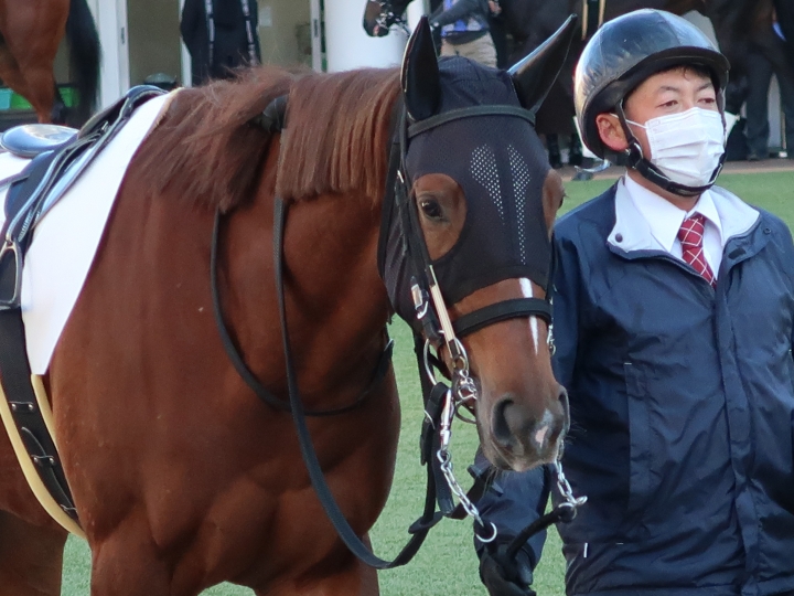 大健闘の3着♪ ミニョンルミエール