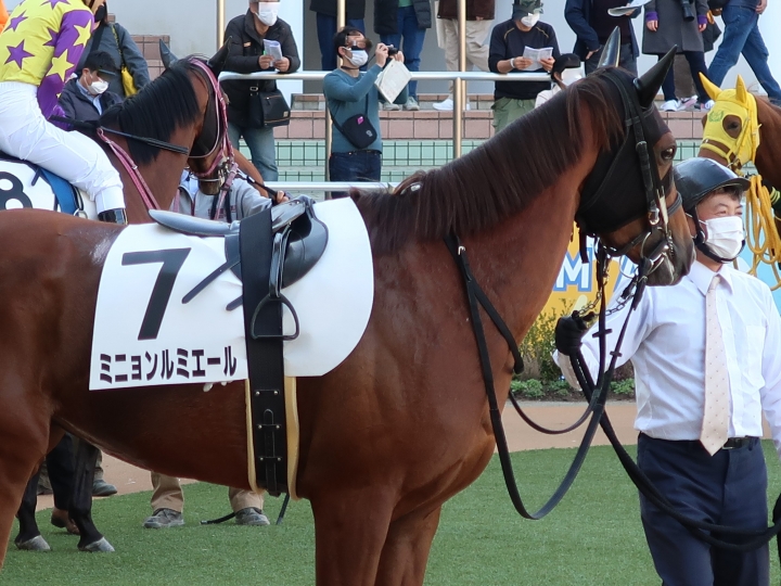 パドックにて ミニョンルミエール