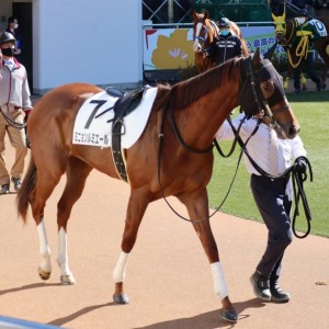 2022/2/26 3歳未勝利