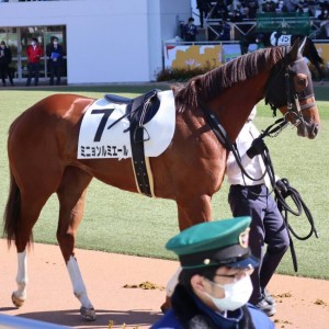 2022/2/26 3歳未勝利