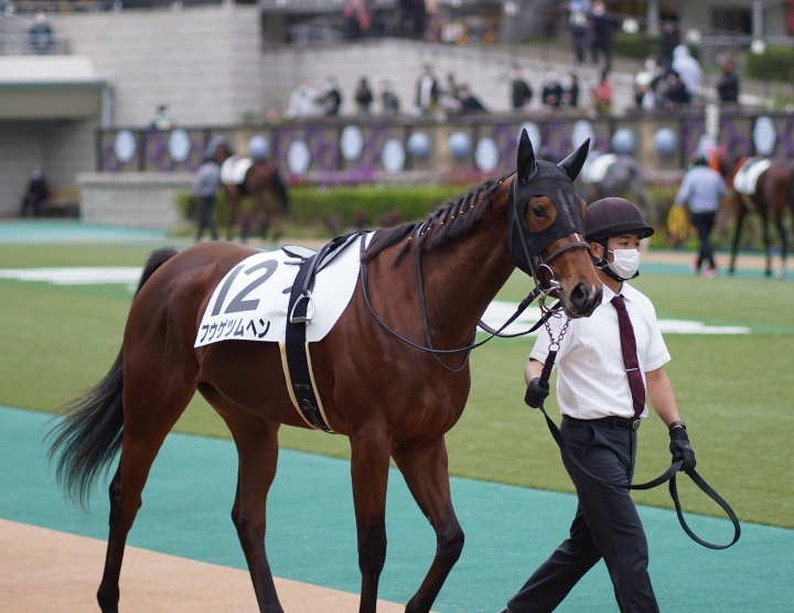 2021/11/21 2歳新馬 フウゲツムヘン