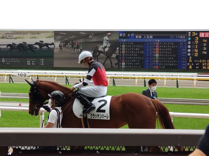 2022/5/15 3歳未勝利 グラッテンハーレ