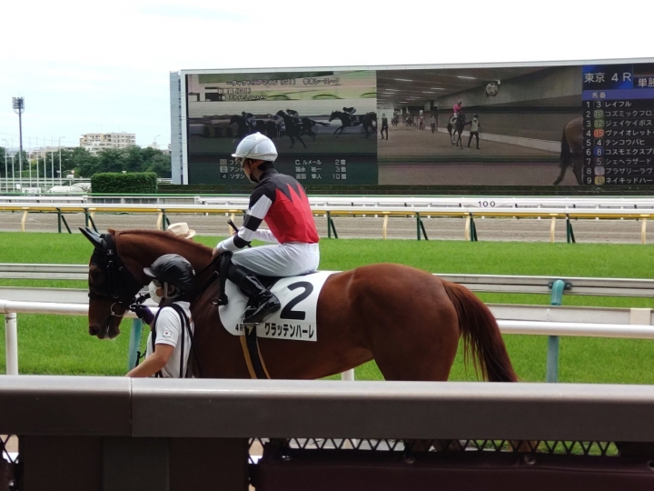 2022/5/15 3歳未勝利 グラッテンハーレ