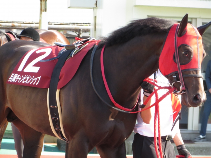 2022年5月 ドライスタウト