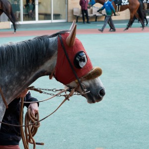 2024/12/15 中京 尾張特別(2勝クラス)