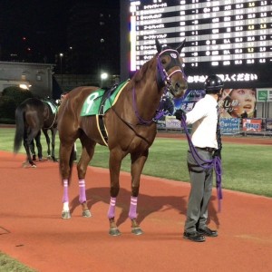 2023/11/8 ノベンバースター賞(B2)