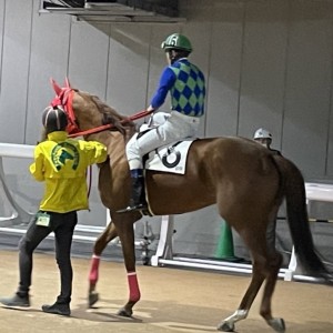 船橋ジャスミンスプリント