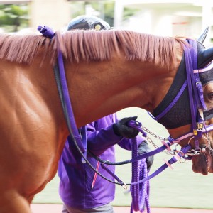 2024/1/21 小倉 八幡特別(1勝クラス)