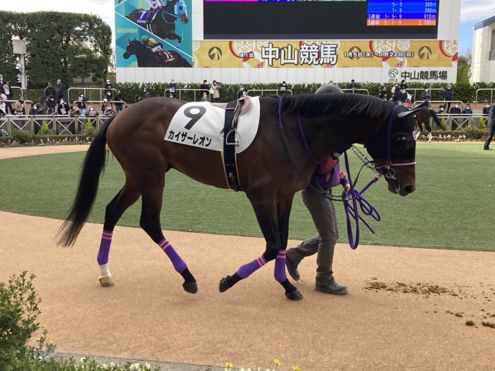 2023/1/21 4歳以上1勝クラス カイザーレオン