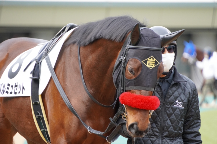 2022/2/19 3歳1勝クラス バルミュゼット