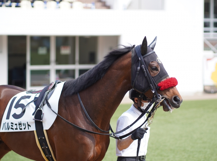 2022/3/13 3歳1勝クラス バルミュゼット
