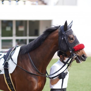 2022/3/13 3歳1勝クラス