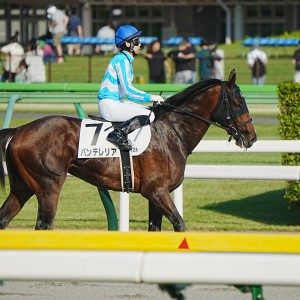 2023/6/17 3歳以上1勝クラス