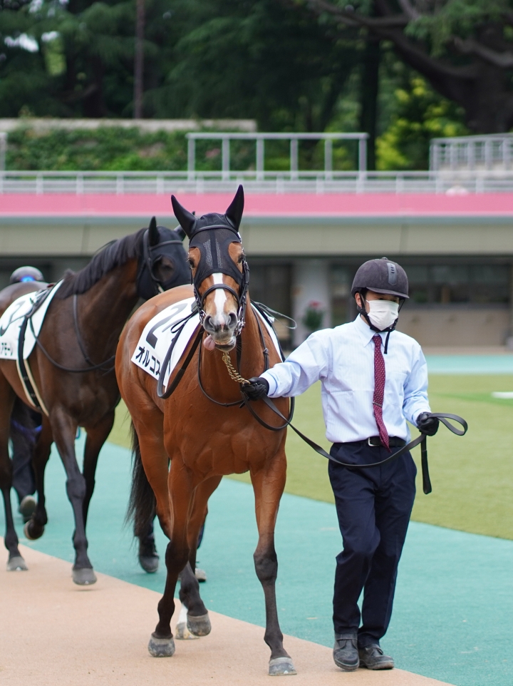 2022/6/11 3歳以上1勝クラス(牝) オルコス