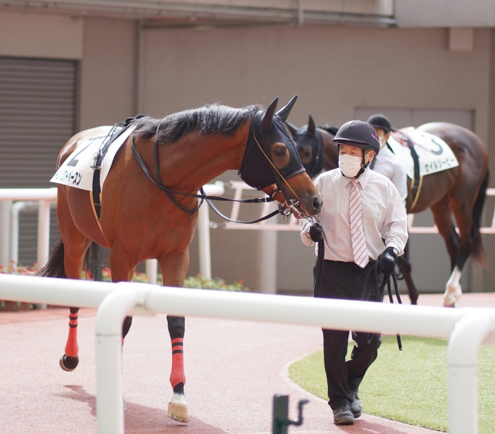 2021/10/24 2歳新馬 インパクトベースン